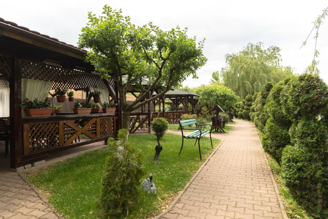 Complex Turistic Darina Sancraiu De Mures מראה חיצוני תמונה